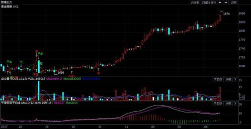 期货最新行情爆料,最新行情揭秘